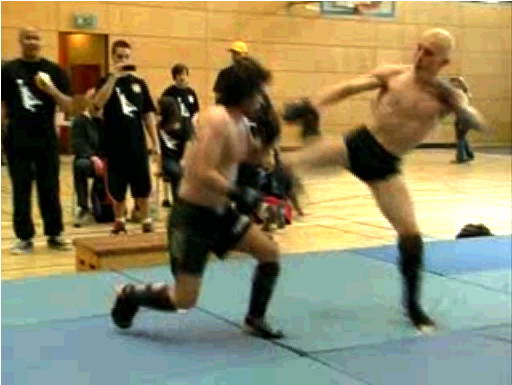 SportTV: MMA in der Max Schmeling Halle
